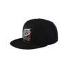 TLD SNAPBACK FACTORY ICON BLACK OSFA